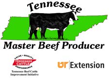 Master Beef Producer Logo