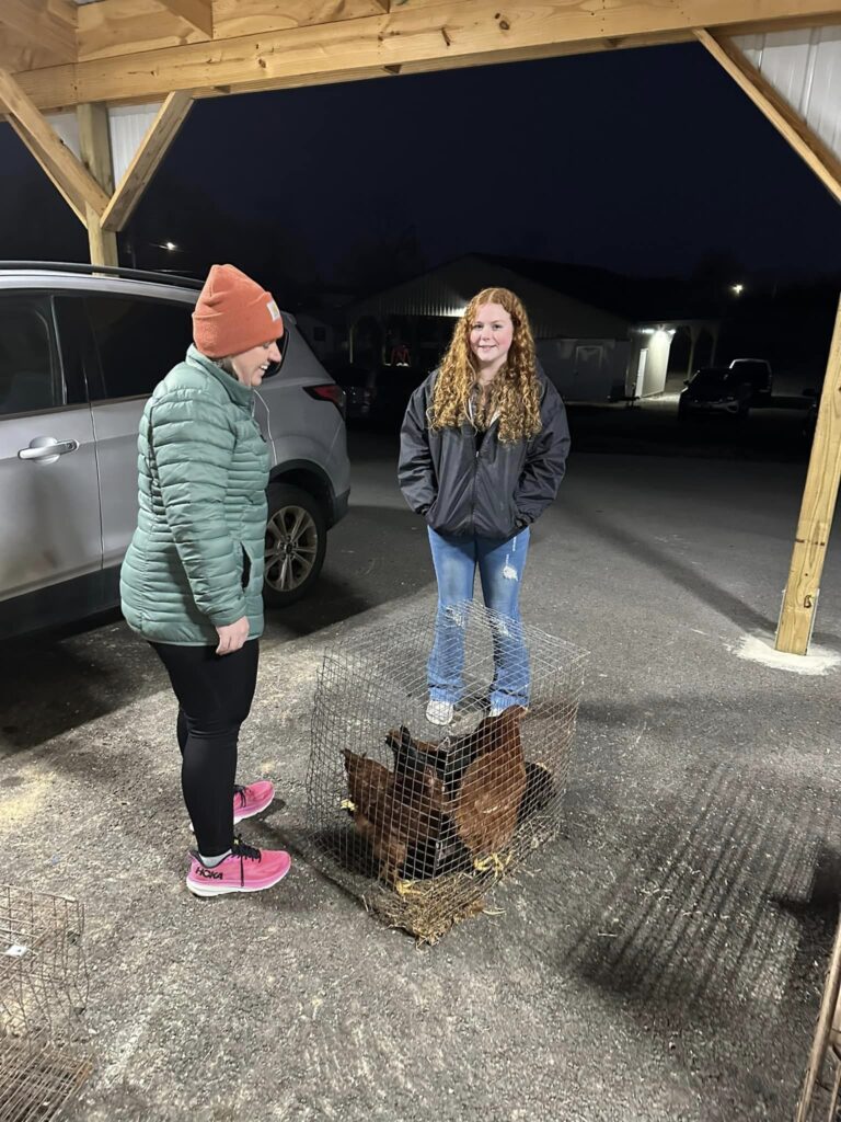 Child and parent standing beside chickens.
